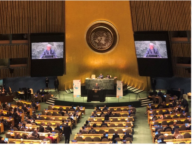 The International Migration Review Forum